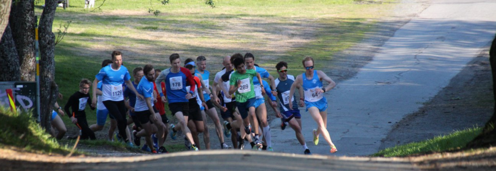 Gampen 2019 - Rensåsen